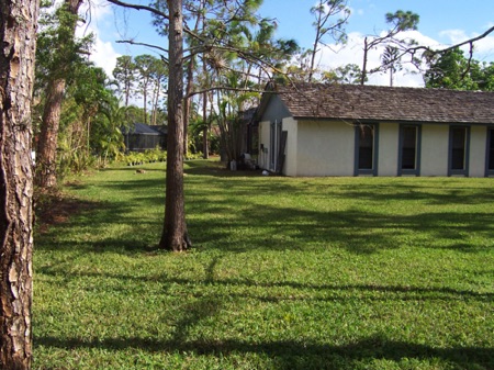 00398 West Outside View 3.JPG